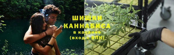молекула духа Новозыбков